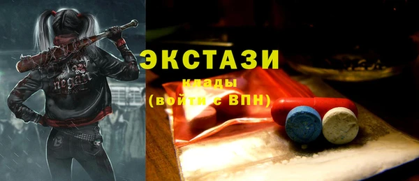 индика Ростов
