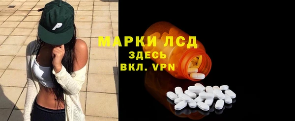 индика Ростов