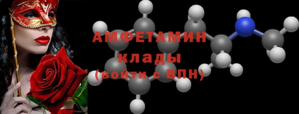 индика Ростов