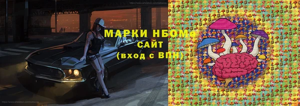 индика Ростов
