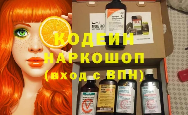 индика Ростов