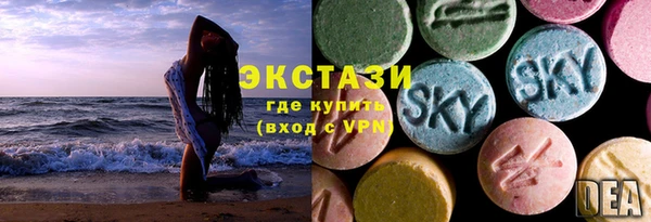 индика Ростов
