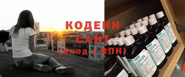 индика Ростов