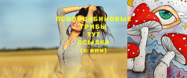 индика Ростов