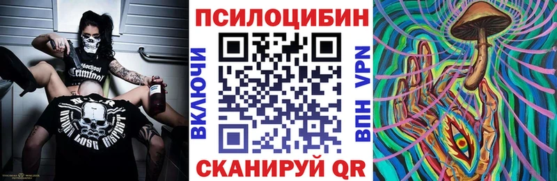 Псилоцибиновые грибы Cubensis  Купить  Саки 